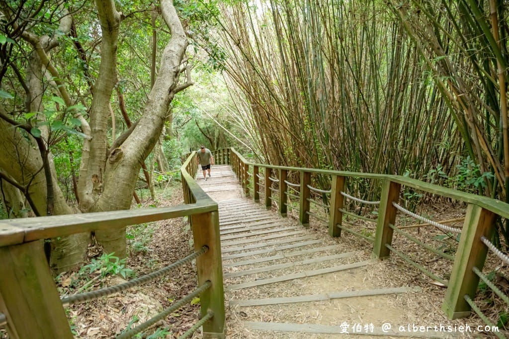 桃園蘆竹羊稠森林步道｜眺望高鐵行駛，甲蟲獨角仙