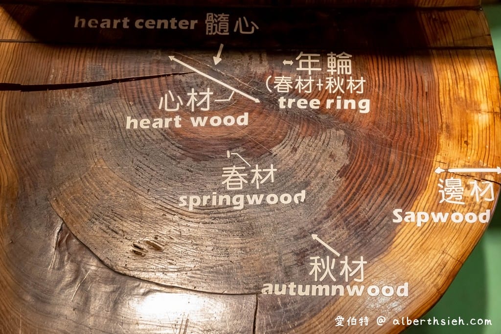 愛木村地方文化館｜嘉義室內親子景點觀光工廠推薦
