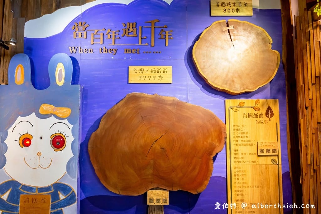 愛木村地方文化館｜嘉義室內親子景點觀光工廠推薦