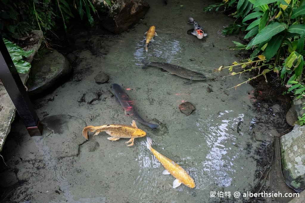 苗栗三義卓也小屋渡假園區|牛角村花園,親子散步、悠閒下午茶 - 第6張圖 苗栗三義卓也小屋渡假園區|牛角村花園,親子散步、悠閒下午茶