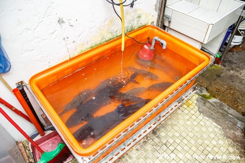 龍潭燴鱻活魚｜陸軍司令部前，客家川菜/熱炒菜色也都很美味