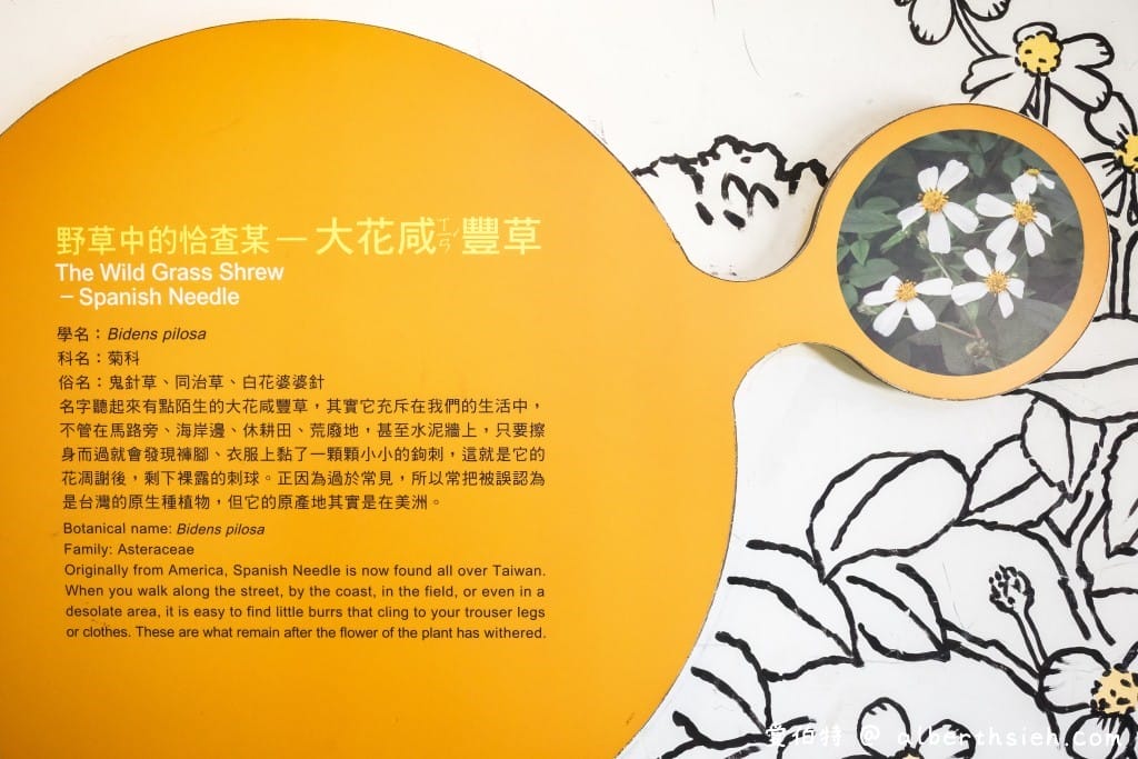 老街溪河川教育中心｜桃園中壢親子免費景點，溜滑梯、環境教育