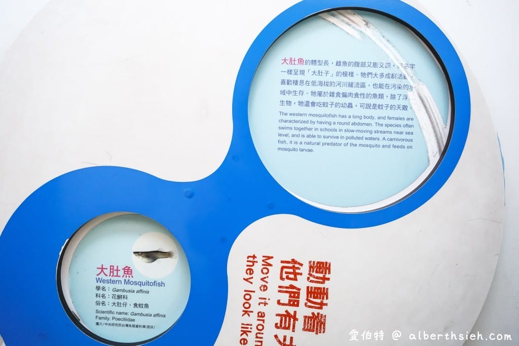 老街溪河川教育中心｜桃園中壢親子免費景點，溜滑梯、環境教育