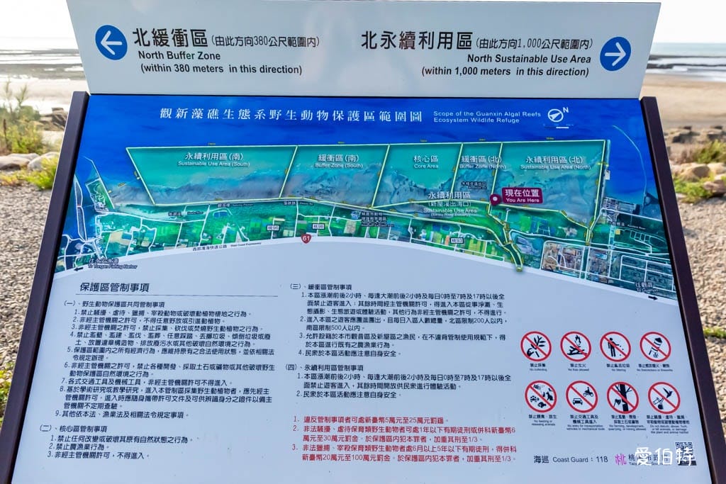 桃園觀新藻礁生態系野生動物保護區｜全台最大植物藻礁地形，絕美夕陽照