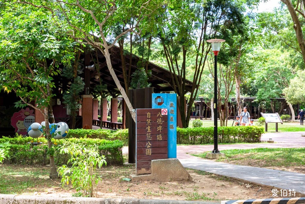 桃園八德埤塘自然生態公園｜免費親子景點，餵魚賞鴨散步賞荷