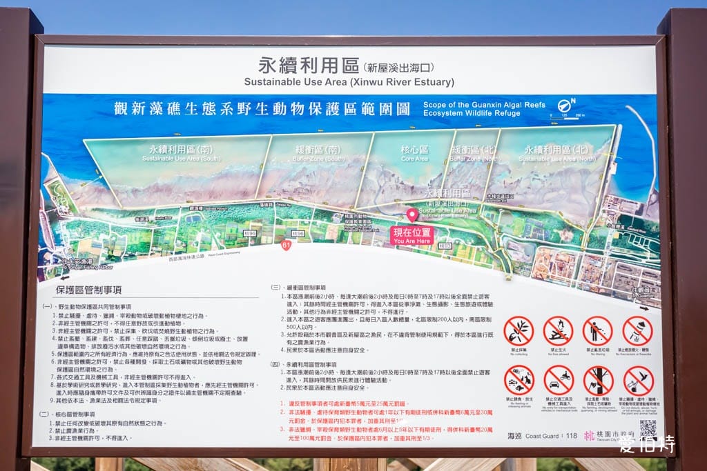 桃園觀新藻礁生態系野生動物保護區｜全台最大植物藻礁地形，絕美夕陽照