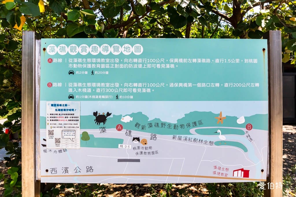 桃園觀新藻礁生態環境教室｜專屬洗腳池，洗手間，全台唯一藻礁教室