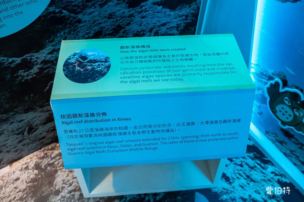 桃園觀新藻礁生態環境教室｜專屬洗腳池，洗手間，全台唯一藻礁教室