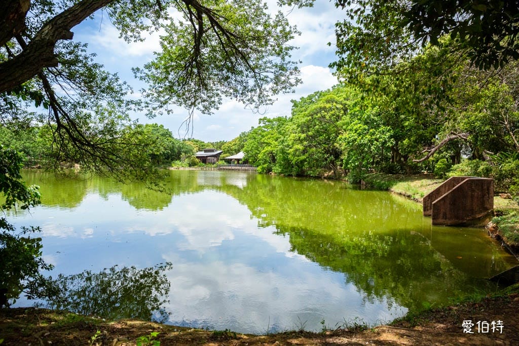 桃園八德埤塘自然生態公園｜免費親子景點，餵魚賞鴨散步賞荷