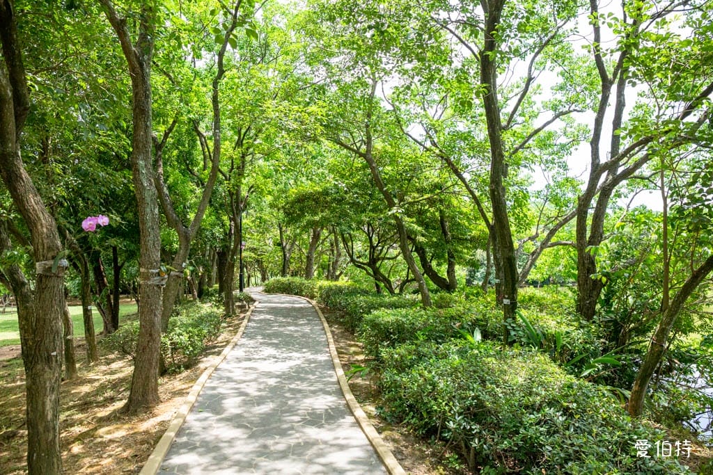 桃園八德埤塘自然生態公園｜免費親子景點，餵魚賞鴨散步賞荷