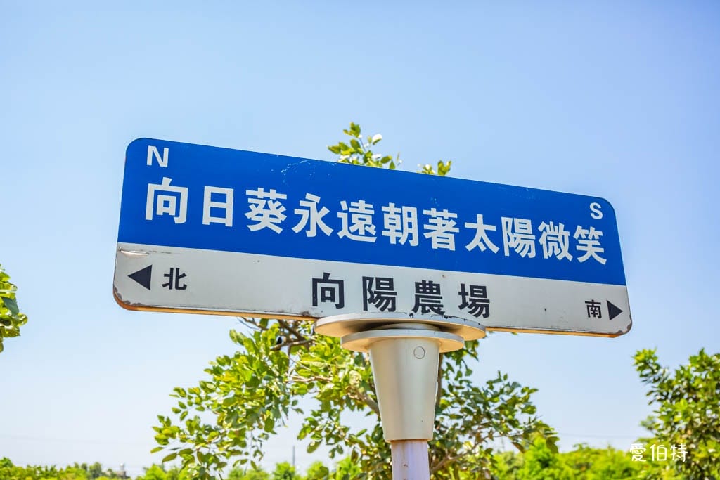 桃園親子景點推薦｜向陽農場，門票全額折抵，向日葵花海烤肉餵動物