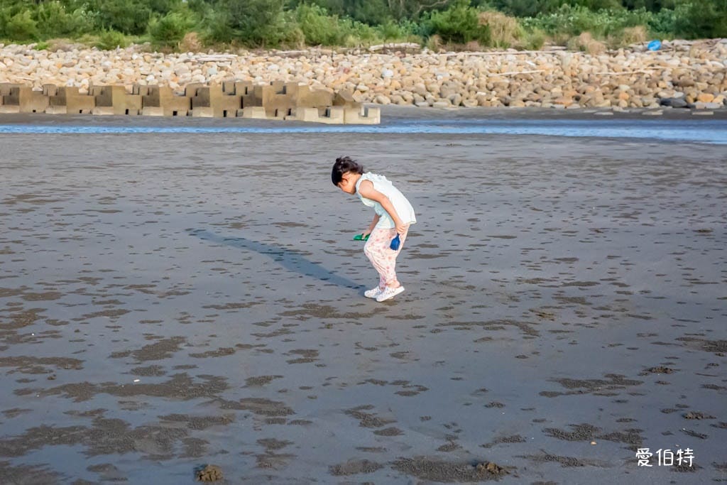桃園觀新藻礁生態系野生動物保護區｜全台最大植物藻礁地形，絕美夕陽照