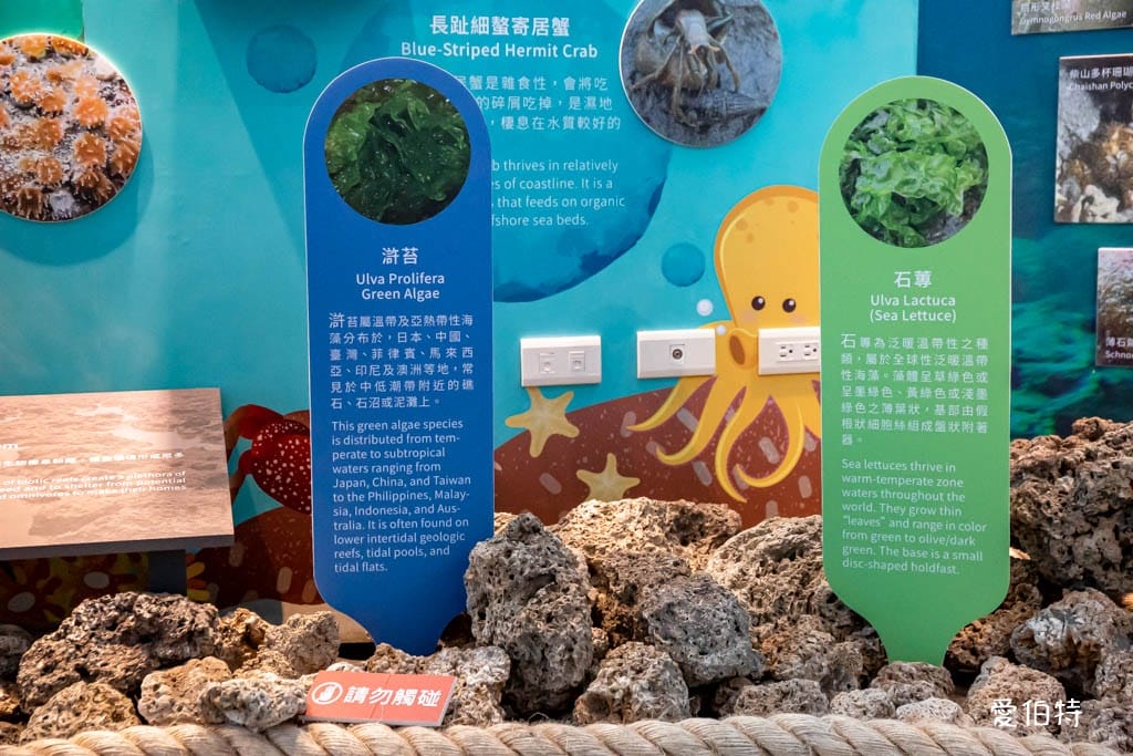 桃園觀新藻礁生態環境教室｜專屬洗腳池，洗手間，全台唯一藻礁教室