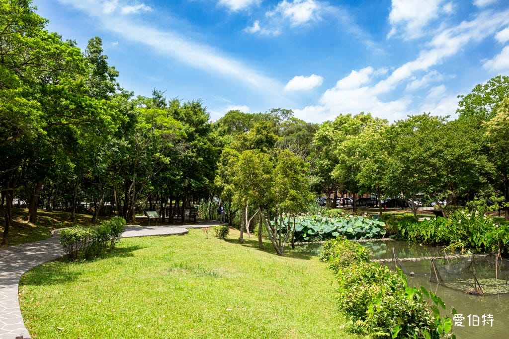 桃園八德埤塘自然生態公園｜免費親子景點，餵魚賞鴨散步賞荷