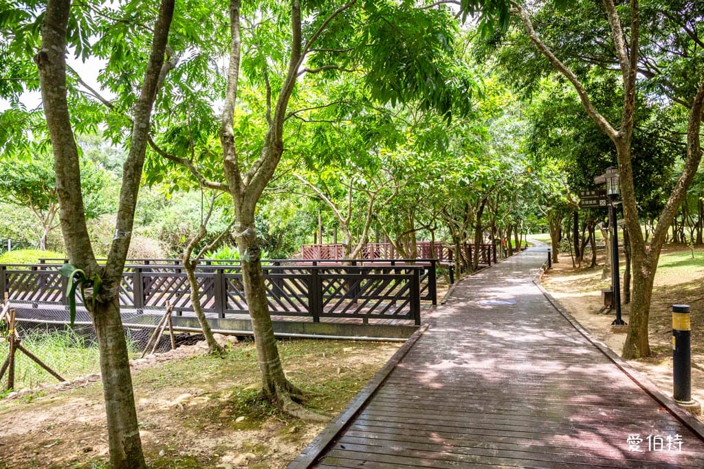 桃園八德埤塘自然生態公園｜免費親子景點，餵魚賞鴨散步賞荷