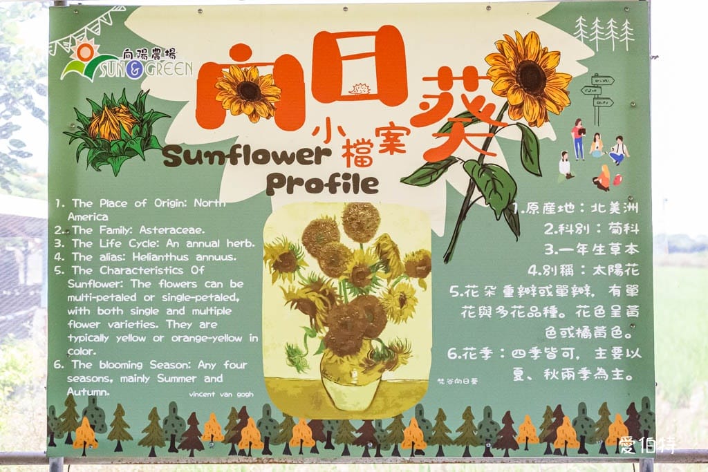桃園親子景點推薦｜向陽農場，門票全額折抵，向日葵花海烤肉餵動物