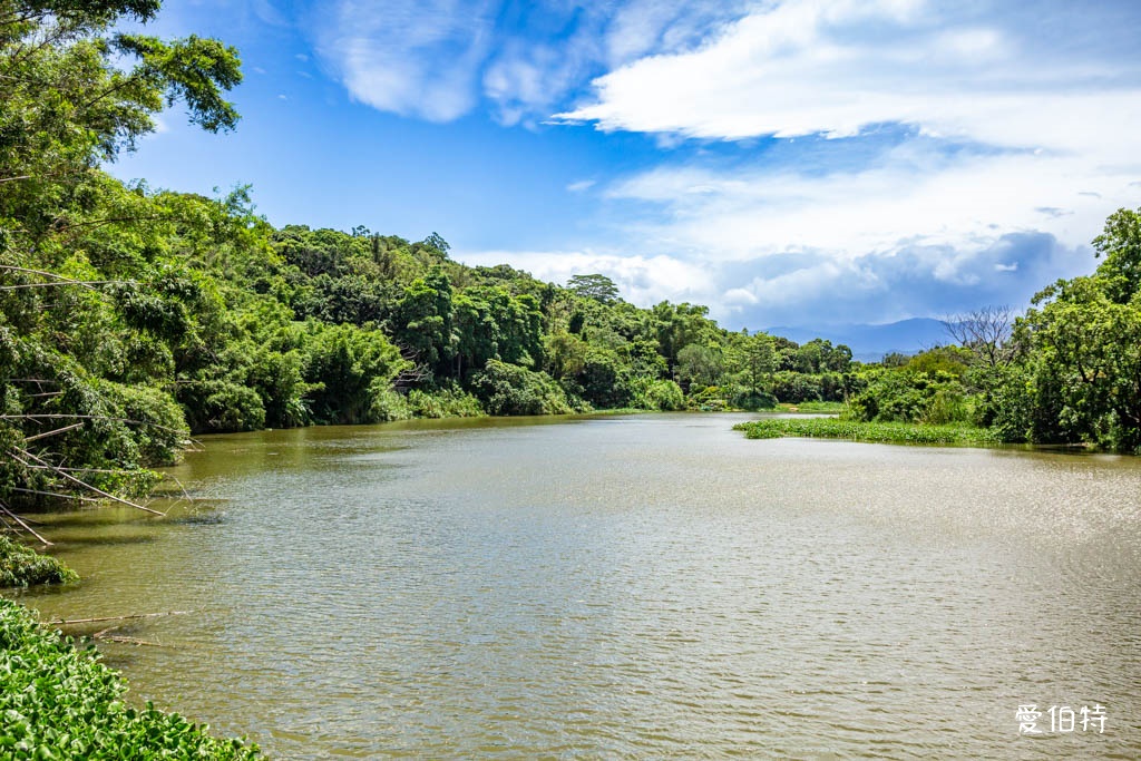 新竹青草湖環湖步道|觀景平台,交通停車,周邊景點美食推薦 @愛伯特