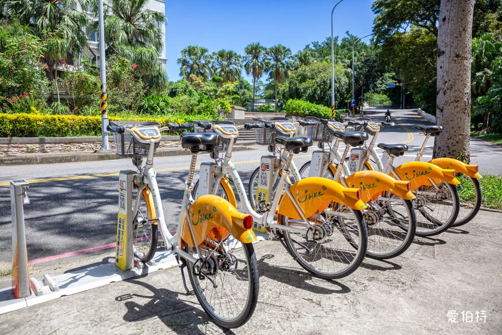 新竹青草湖環湖步道|觀景平台,交通停車,周邊景點美食推薦 @愛伯特