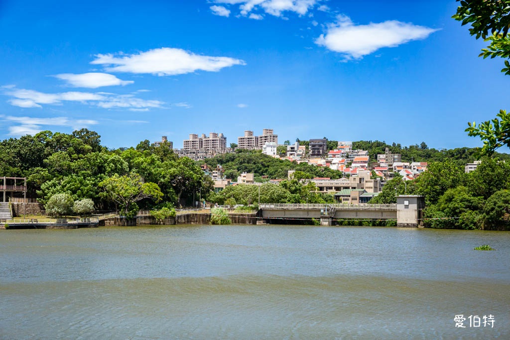 新竹青草湖環湖步道|觀景平台,交通停車,周邊景點美食推薦 @愛伯特