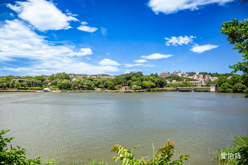 新竹青草湖環湖步道|觀景平台,交通停車,周邊景點美食推薦 @愛伯特