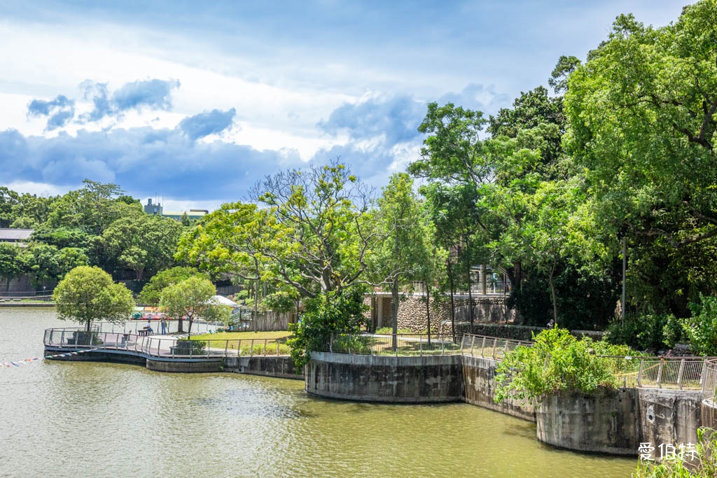 新竹青草湖環湖步道|觀景平台,交通停車,周邊景點美食推薦 @愛伯特