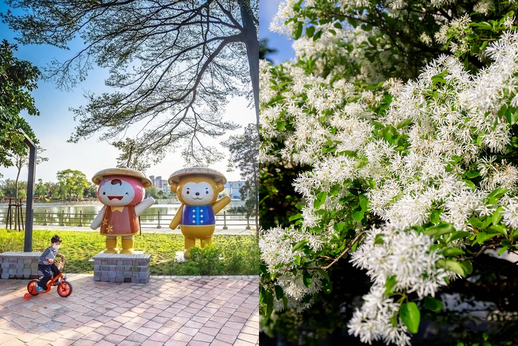 社子陂塘生態公園．桃園平鎮景點（適合親子休閒的埤塘公園，3,4月可以賞流蘇） @愛伯特