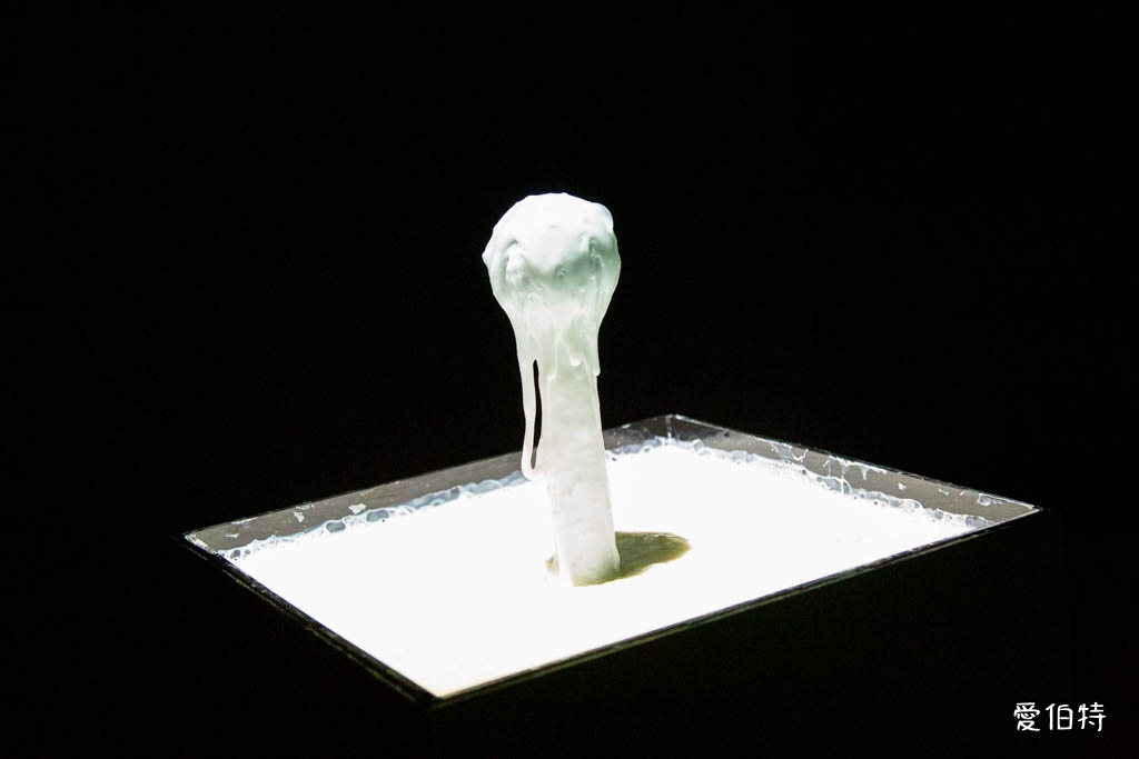 桃園科技藝術節2025|混種演化・未來生命,親子必看 The LUMI @愛伯特