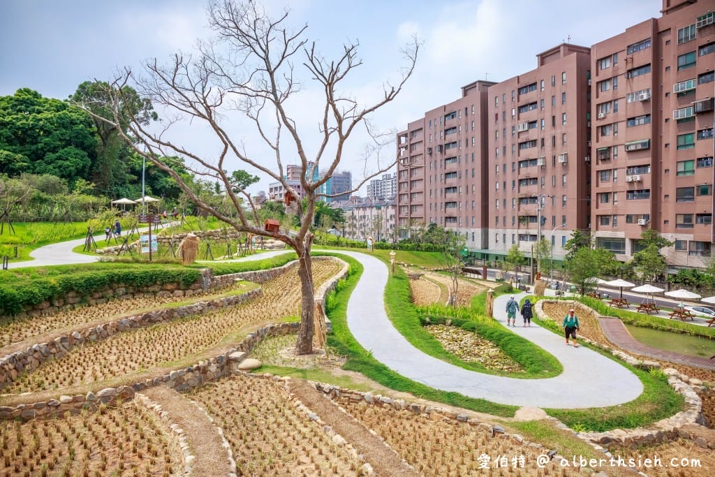 桃園親子景點推薦｜大有梯田生態公園，全齡式森林遊戲場