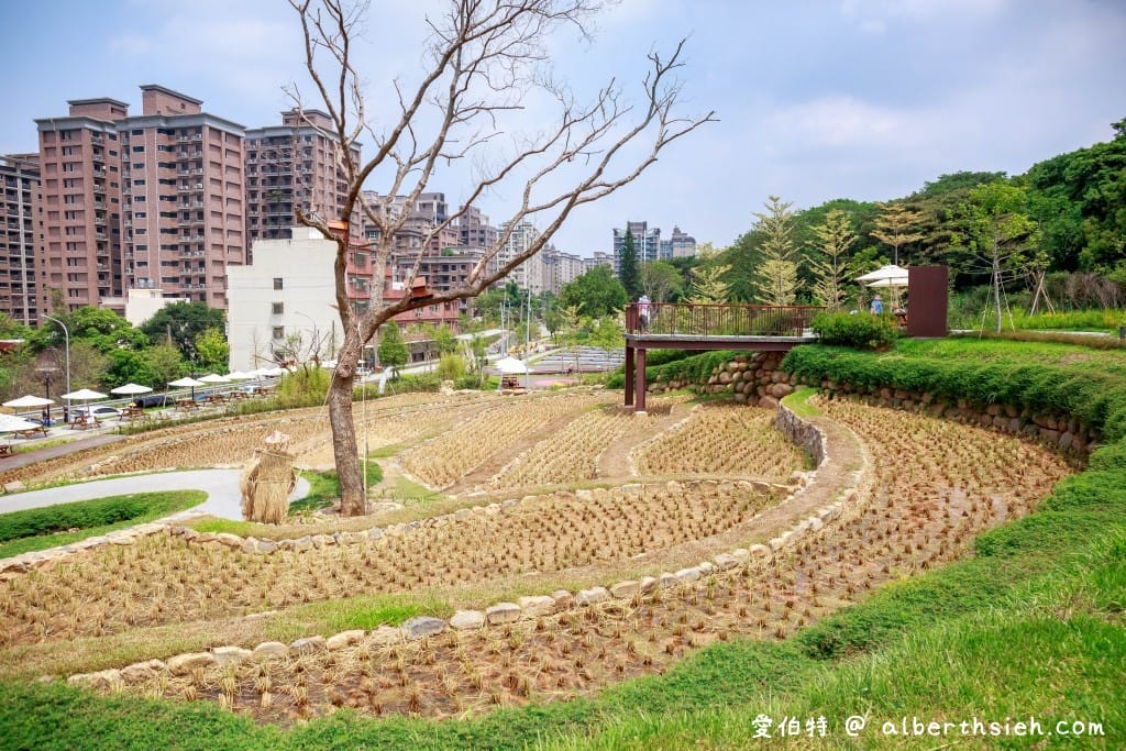 桃園親子景點推薦｜大有梯田生態公園，全齡式森林遊戲場