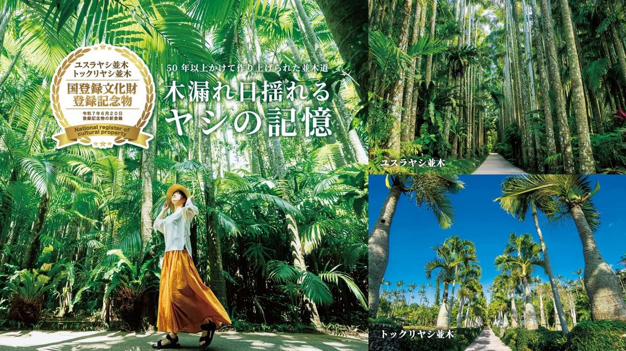 日本十大推薦夜景精選｜日本夜景觀光論壇會 @愛伯特