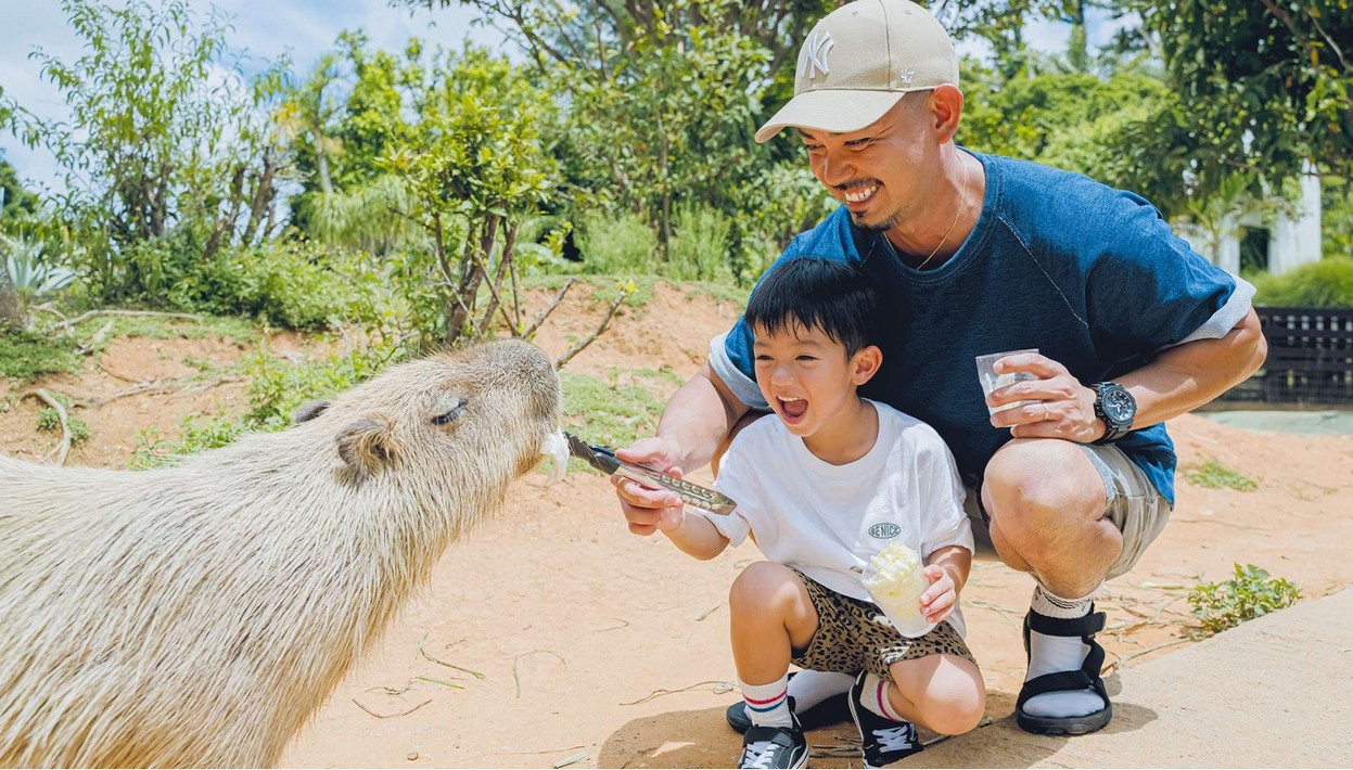 日本十大推薦夜景精選｜日本夜景觀光論壇會 @愛伯特