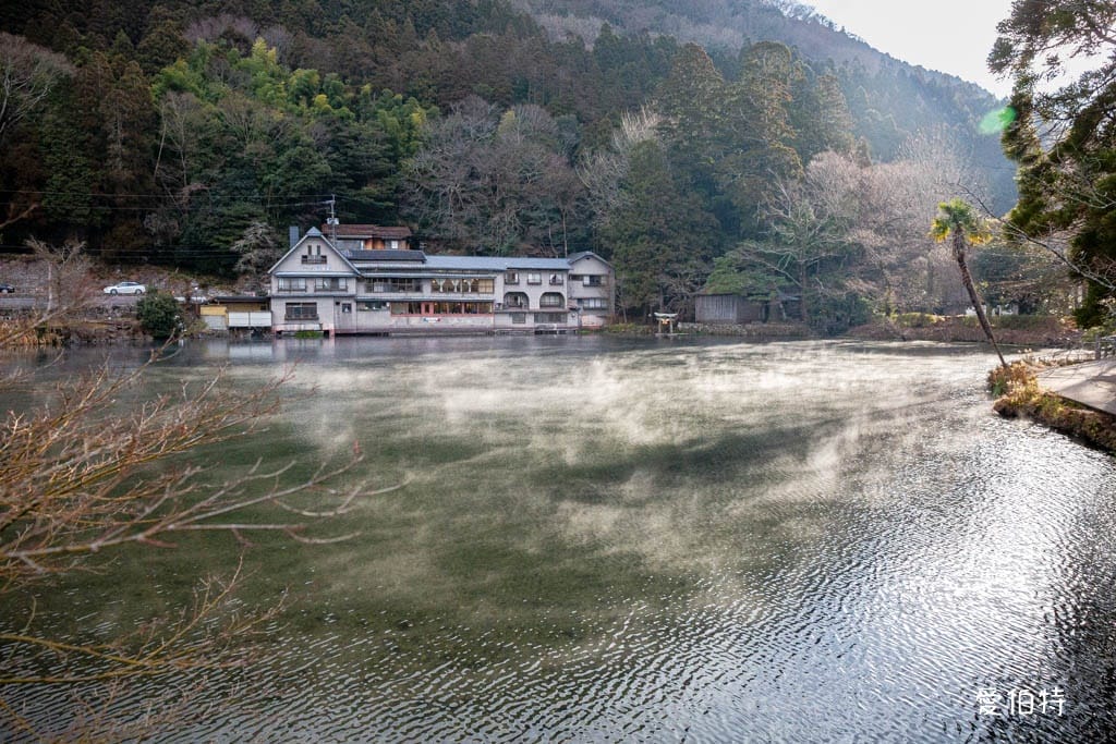 由布院必去景點｜金鱗湖，朝霧絕美，溫泉住宿，美食推薦