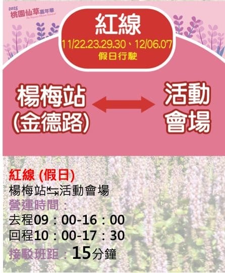 桃園仙草花節2025怎麼去？楊梅薰衣草花海，接駁車，停車位置
