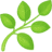 桃園仙草花節2025怎麼去？楊梅薰衣草花海，接駁車，停車位置