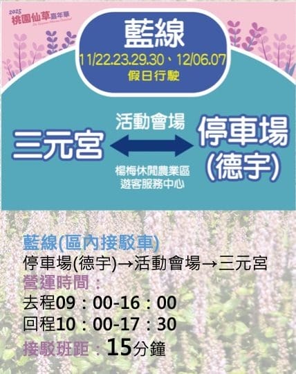 桃園仙草花節2025怎麼去？楊梅薰衣草花海，接駁車，停車位置