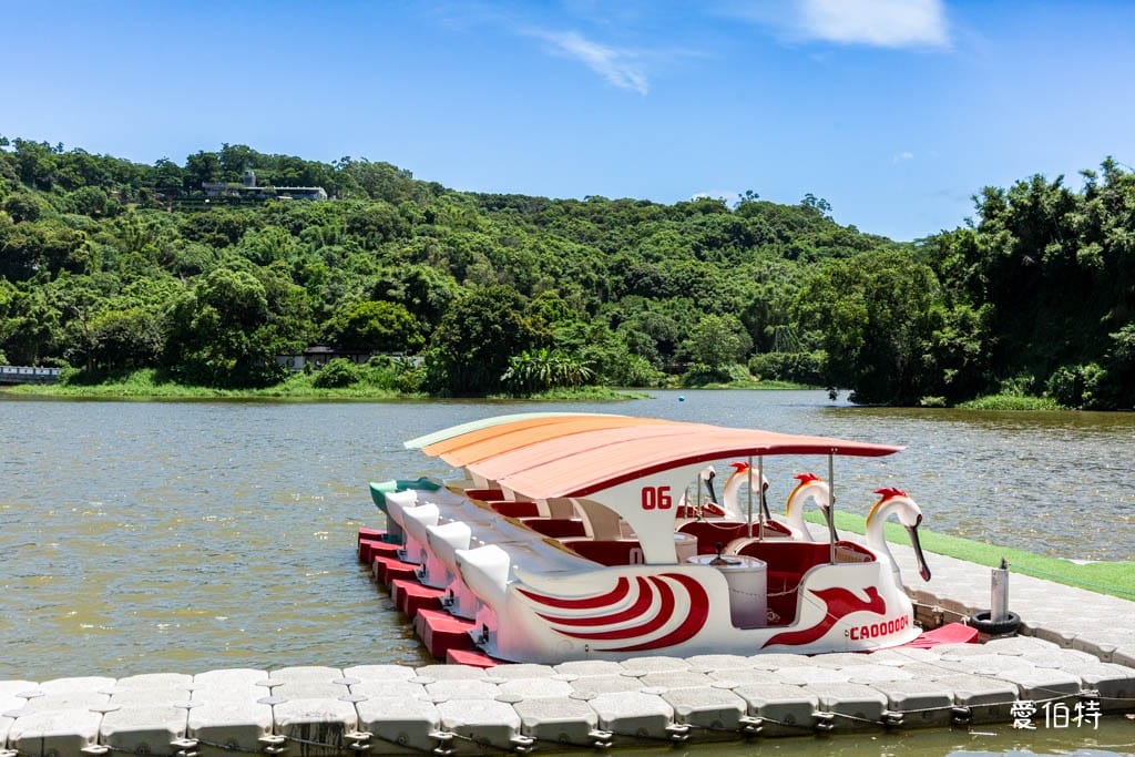 新竹青草湖環湖步道｜觀景平台，交通停車，周邊景點美食推薦