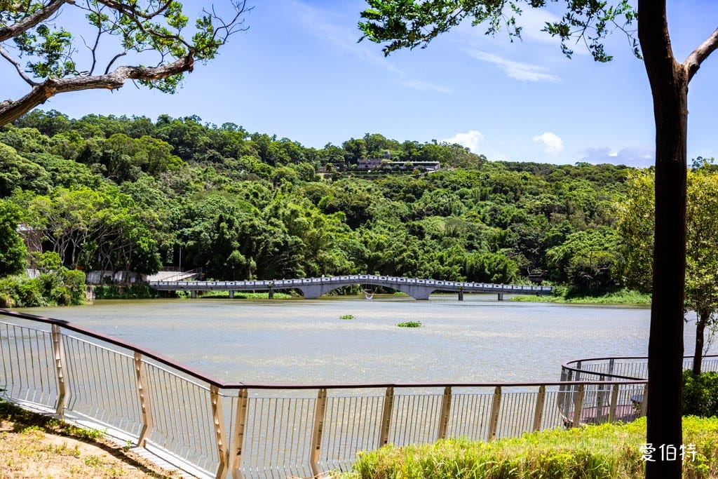 新竹青草湖環湖步道｜觀景平台，交通停車，周邊景點美食推薦