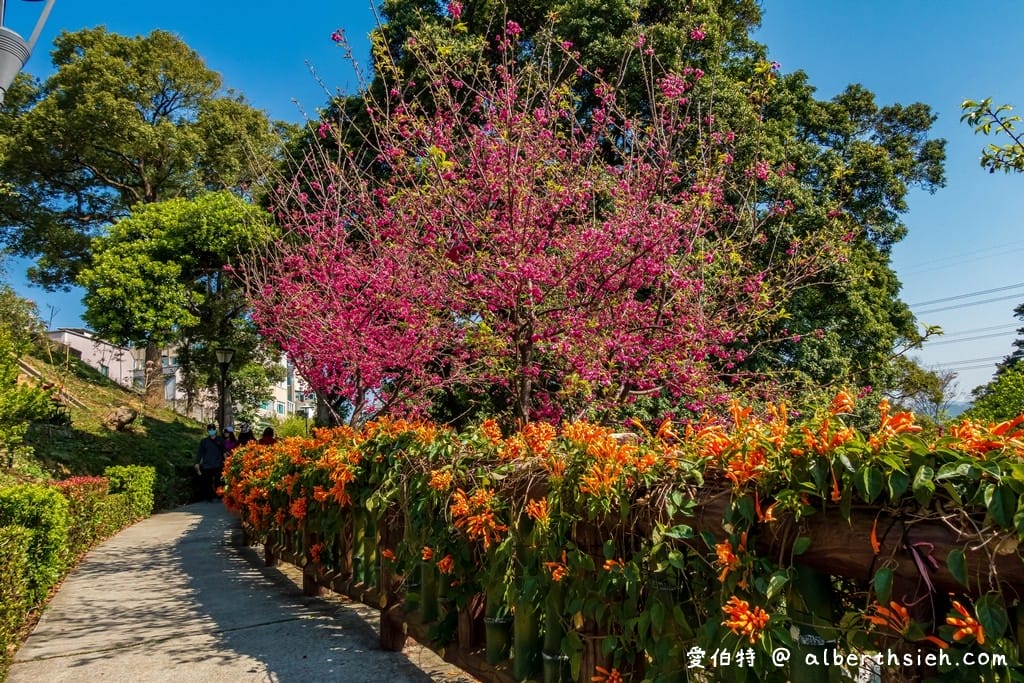 鶯歌永吉公園｜新北親子景點，炮仗花隧道搭配傑克與魔豆