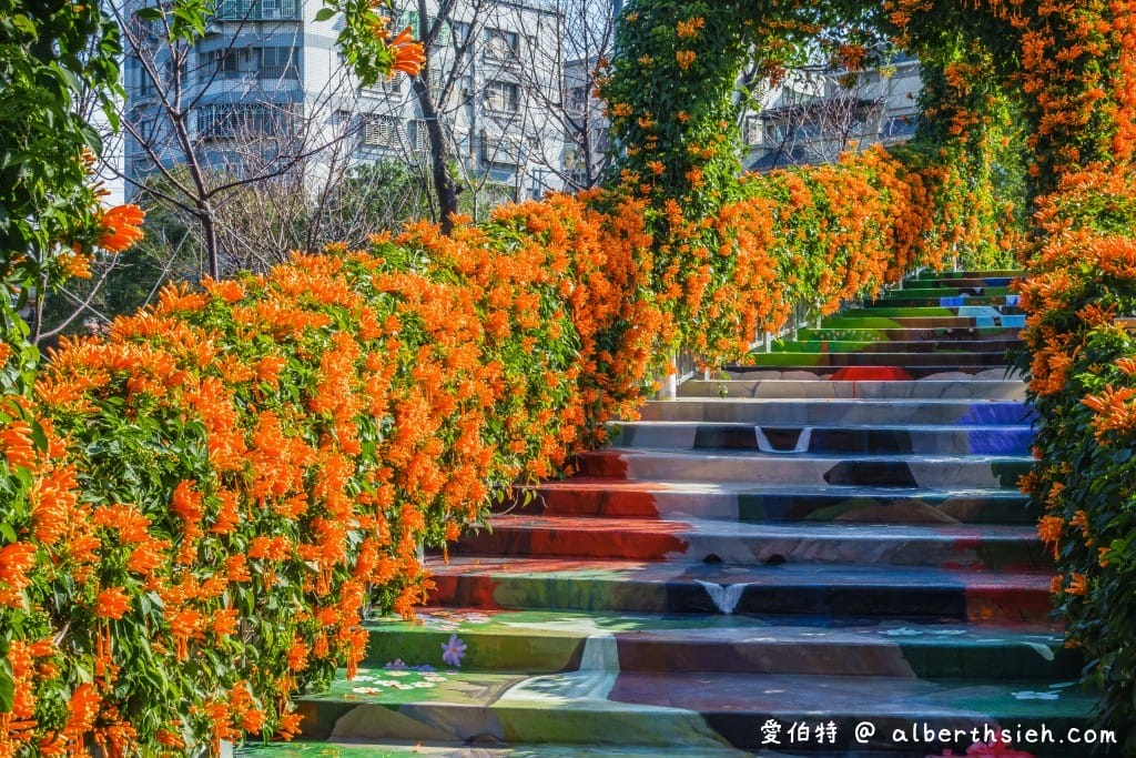 鶯歌永吉公園｜新北親子景點，炮仗花隧道搭配傑克與魔豆