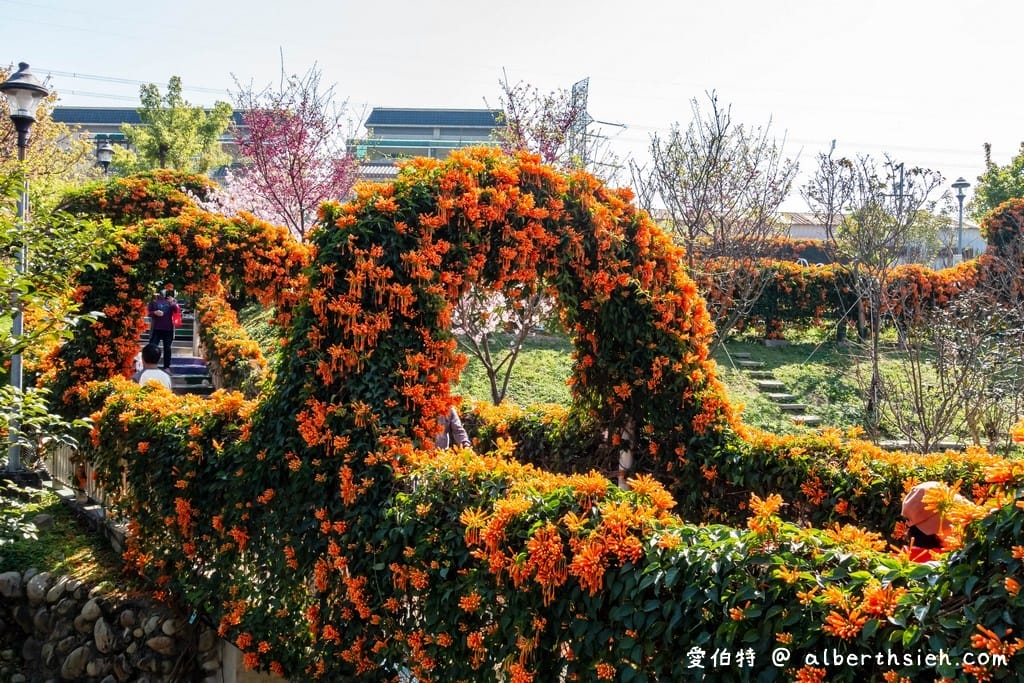 鶯歌永吉公園｜新北親子景點，炮仗花隧道搭配傑克與魔豆