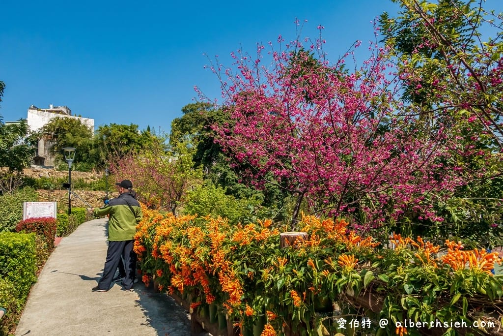 鶯歌永吉公園｜新北親子景點，炮仗花隧道搭配傑克與魔豆