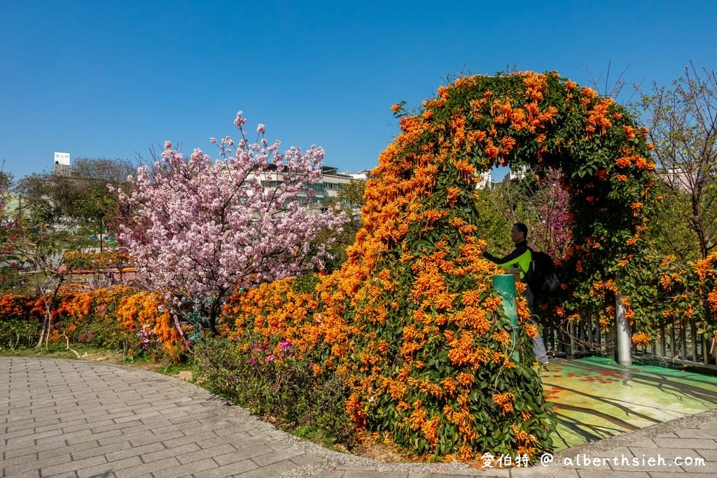 鶯歌永吉公園｜新北親子景點，炮仗花隧道搭配傑克與魔豆