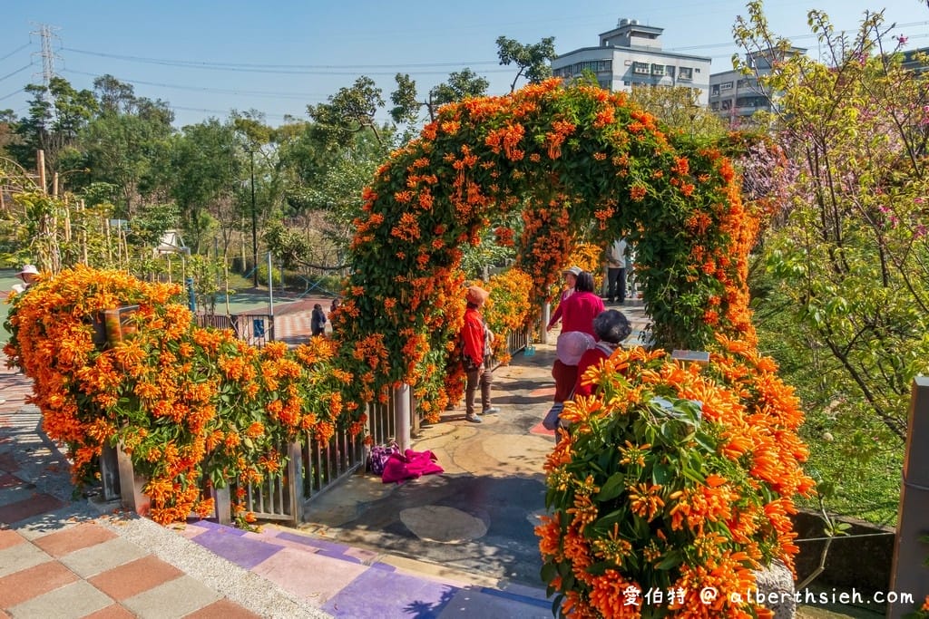 鶯歌永吉公園｜新北親子景點，炮仗花隧道搭配傑克與魔豆