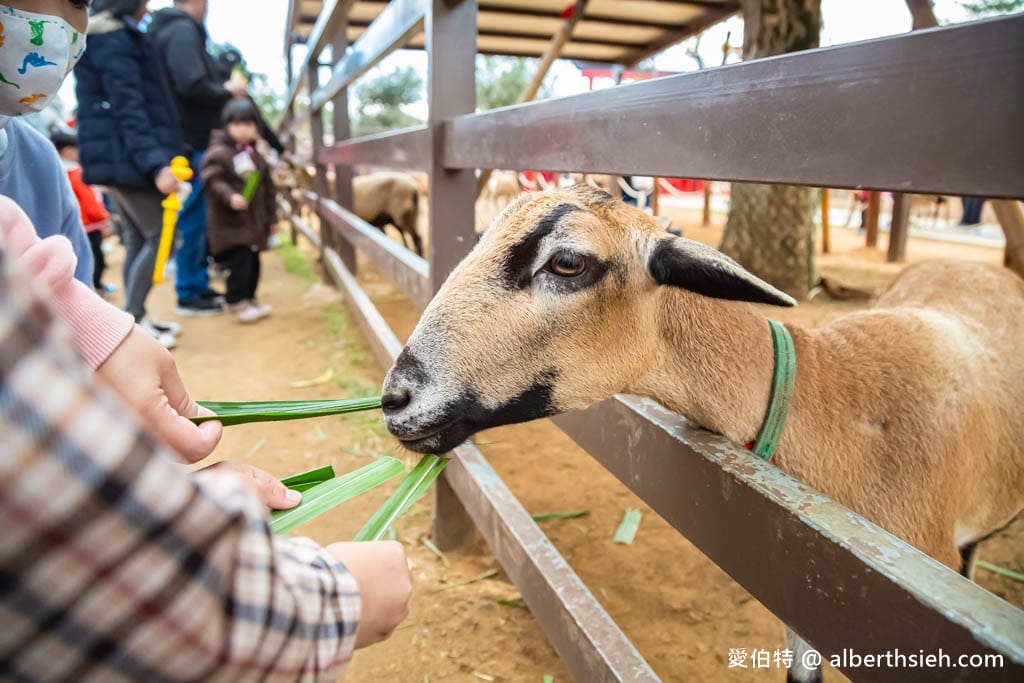 埔心牧場萌萌村｜桃園動物園，優惠門票，水豚君、羊駝