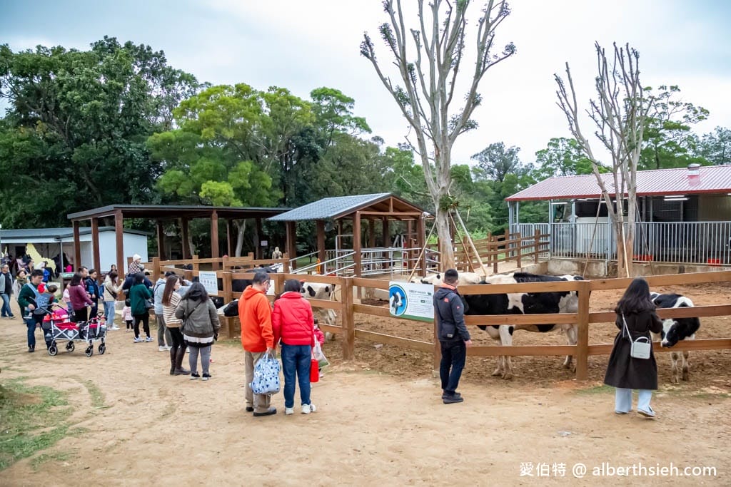 埔心牧場萌萌村｜桃園動物園，優惠門票，水豚君、羊駝
