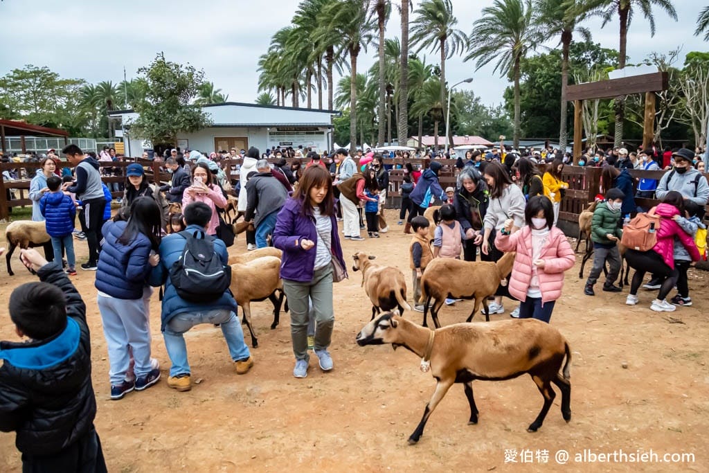 埔心牧場萌萌村｜桃園動物園，優惠門票，水豚君、羊駝