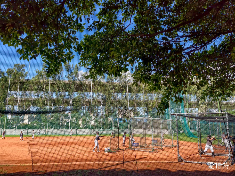 2026樂天棒球營懶人包：寒假放電、學球技、練應援全攻略 @愛伯特