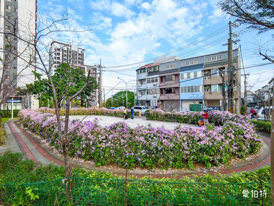 桃園蒜香藤推薦｜中壢莒光公園，楊梅頭重溪公園，平鎮石門大圳
