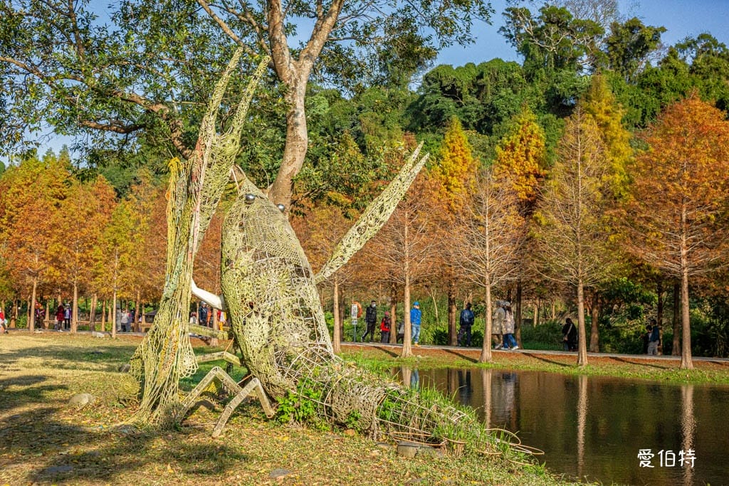 桃園大溪月眉人工濕地生態公園｜370棵落羽松倒映湖中絕美