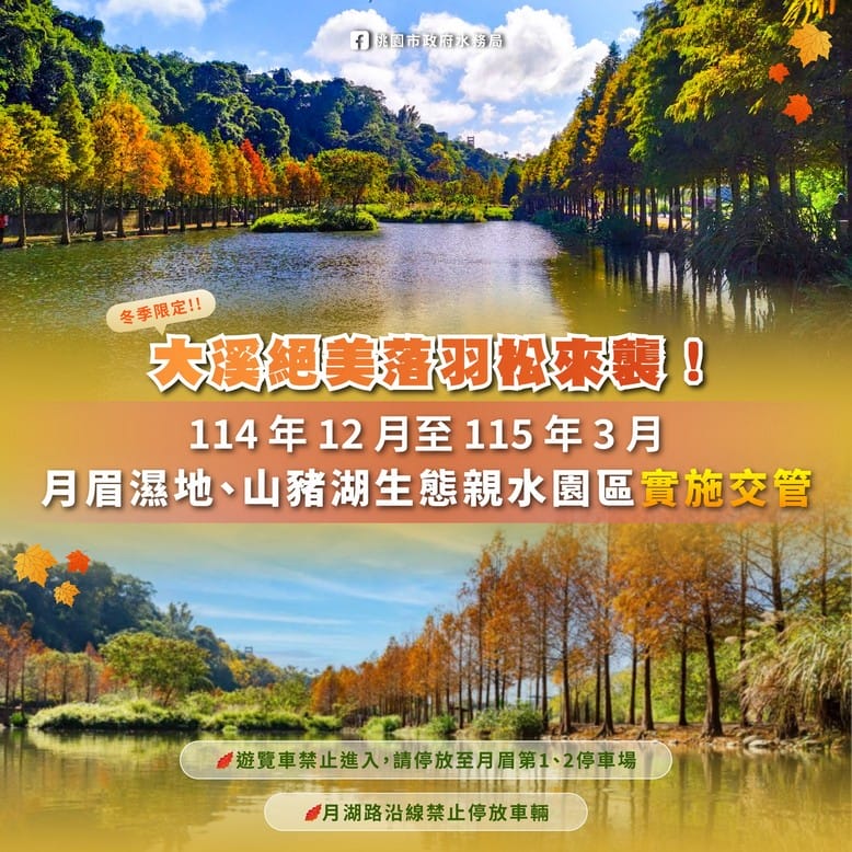 桃園大溪月眉人工濕地生態公園｜370棵落羽松倒映湖中絕美